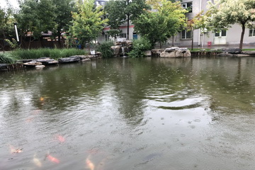 尊龙凯时·(中国)官方网站