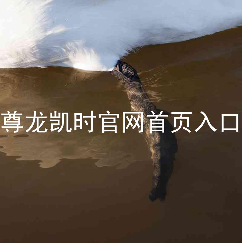 尊龙凯时官网首页入口