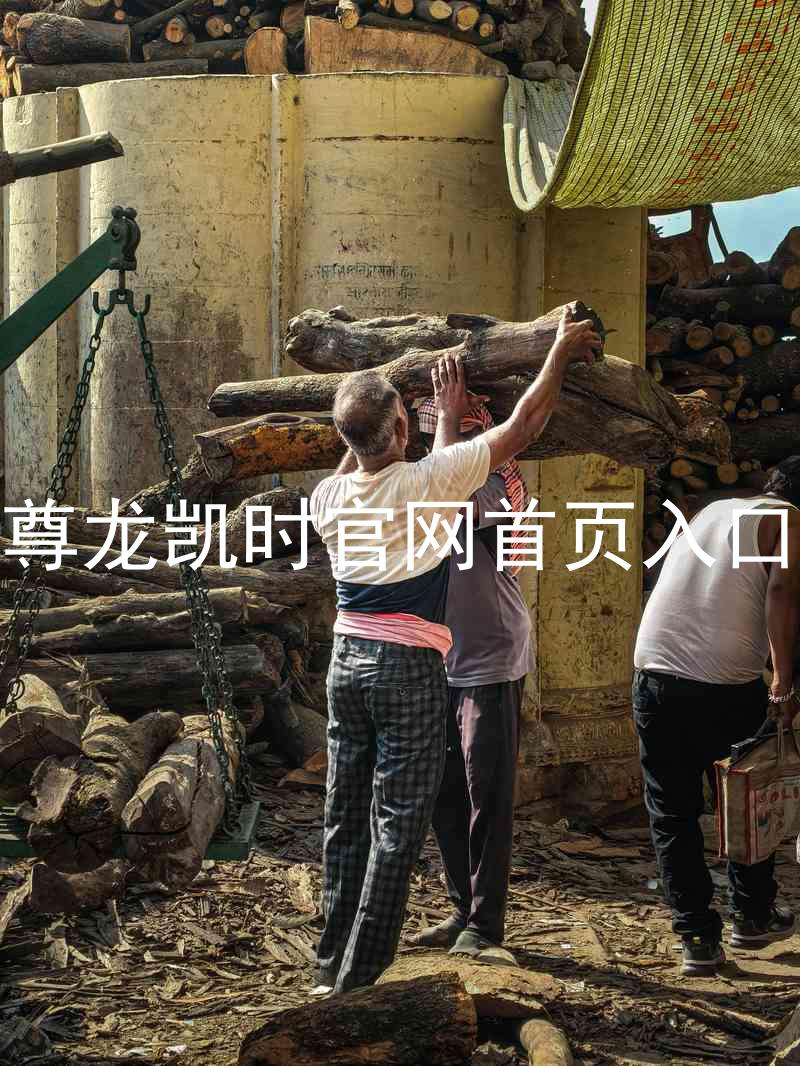 尊龙凯时官网首页入口