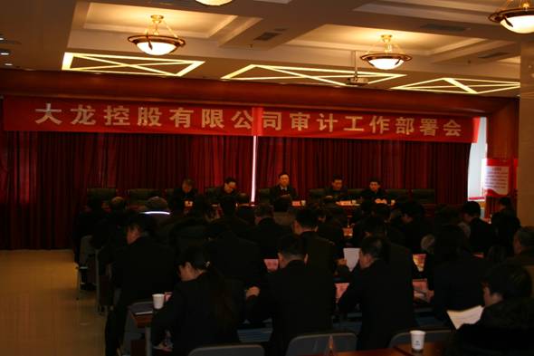 尊龙凯时召开审计事情安排会