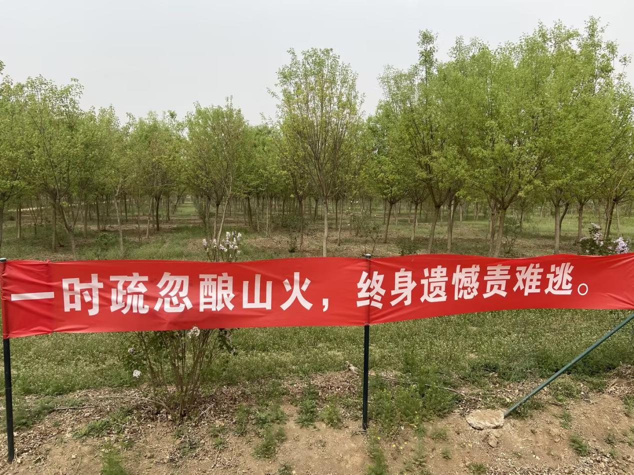 尊龙凯时·(中国)官方网站