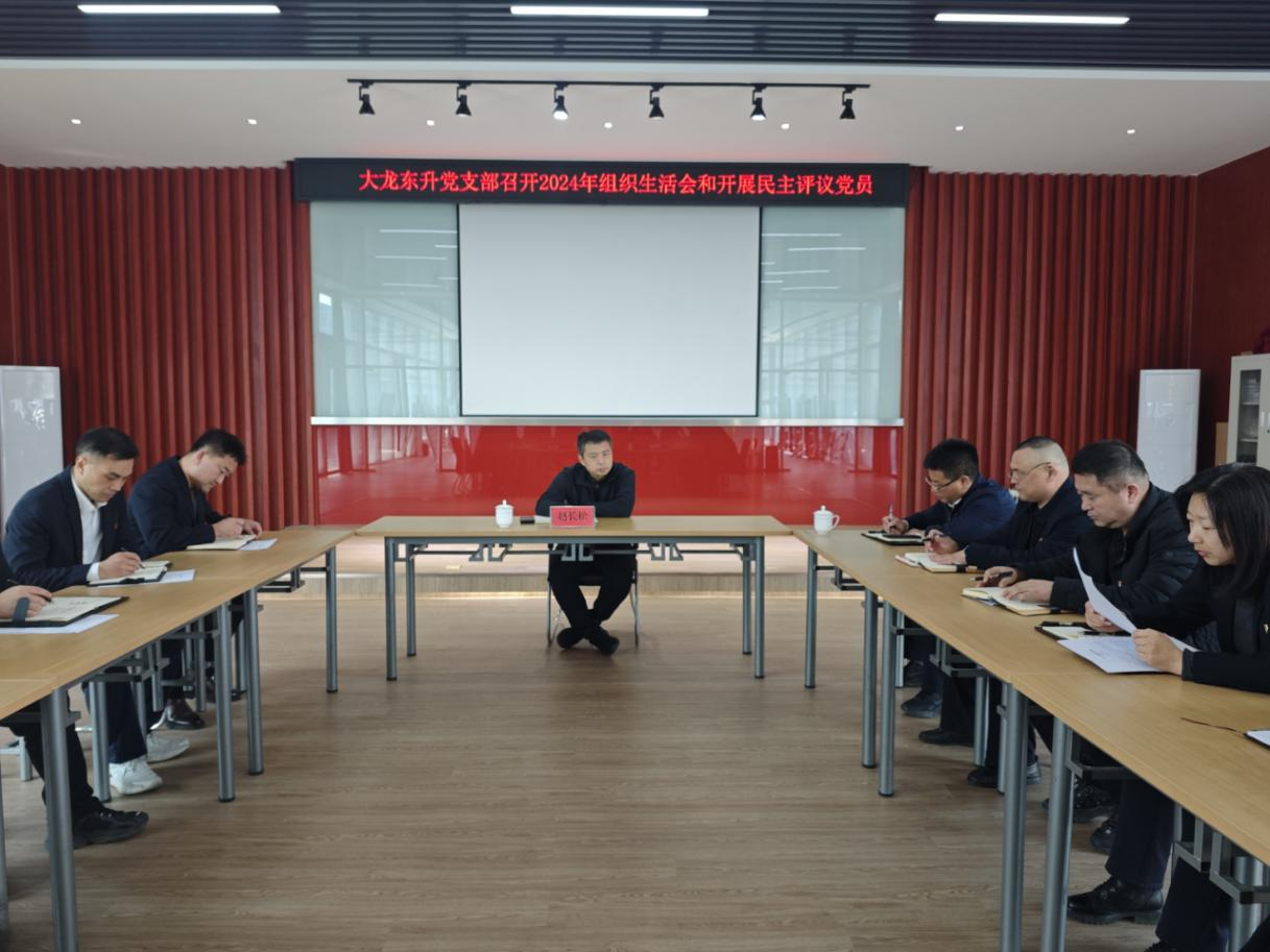 尊龙凯时控股公司党委副书记、司理赵长松加入尊龙凯时东升党支部2024年度组织生涯会